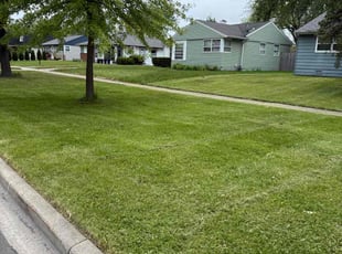 1major I.'s lawn maintenance service result