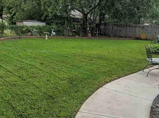 Mary C.'s turf care service result
