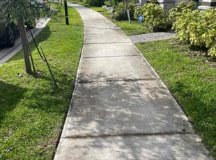 Buddy K.'s turf maintenance service result