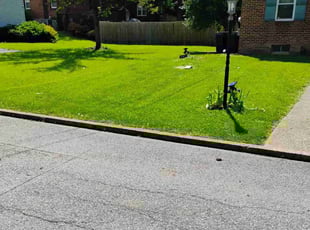 Hue P.'s lawn care service result