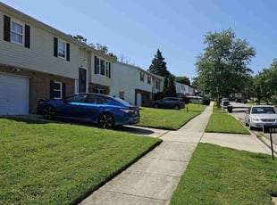 Ramona S.'s turf maintenance service result