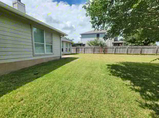 Alwyn D.'s lawn care service result