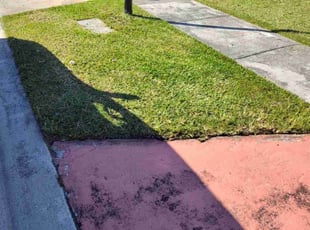 Duke F.'s lawn service service result