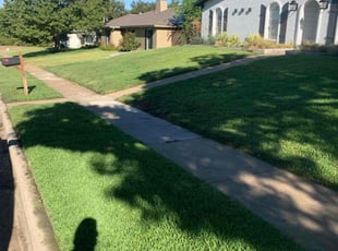 Lisa H.'s Long Grass Cleanup service result