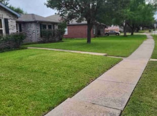 Kerri P.'s residential landscaping service result