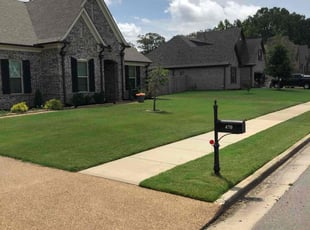 Walt M.'s grass cutting service result