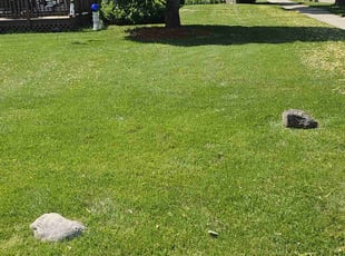 Edward G.'s lawn care services service result