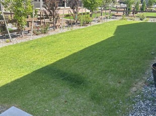 Robert E.'s lawn care services service result