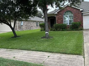 Mary M.'s grass cutting service result