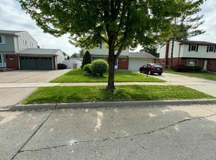 Marc M.'s lawn service service result