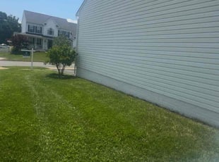Randolph P.'s grass maintenance service result