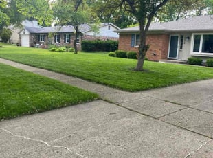 Cecile A.'s lawn maintenance service result