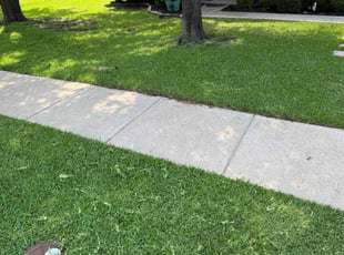 Tammy M.'s lawn care services service result