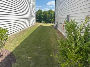 Scott M.'s Bush Trimming service result