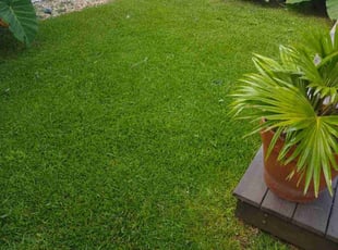 Lesley F.'s lawn care services service result