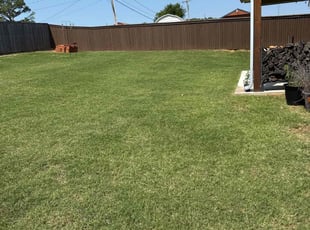 Angelia B.'s lawn maintenance service result
