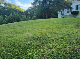 Adrian B.'s grass maintenance service result