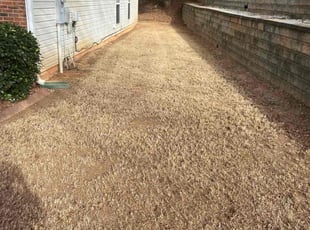 Kwanghee K.'s Leaf Removal service result