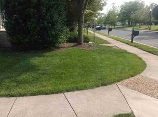 Bryan D.'s grass cutting service result