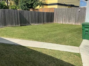 Bob S.'s lawn maintenance service result