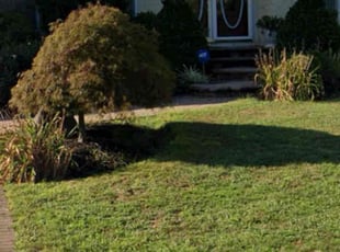 luke k.'s turf care service result