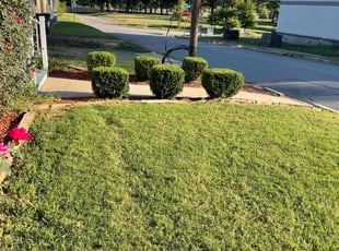 Van B.'s lawn care service result