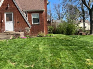 Stephanie T.'s lawn care services service result