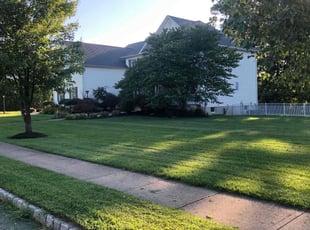 Sonia S.'s lawn care services service result