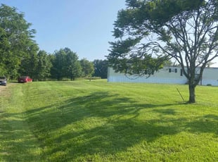 Bruce L.'s grass cutting service result