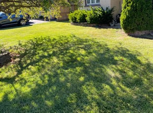 Bridget S.'s grass cutting service result
