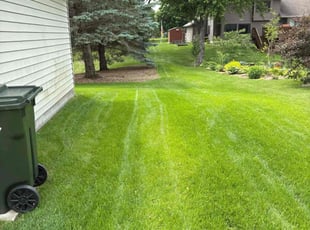 Eric D.'s lawn care services service result