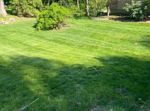 Christine W.'s grass maintenance service result