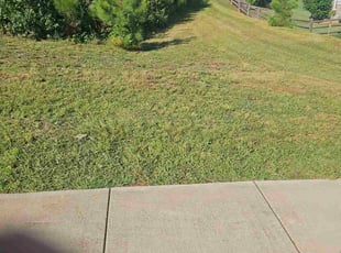 Jermaine W.'s lawn maintenance service result