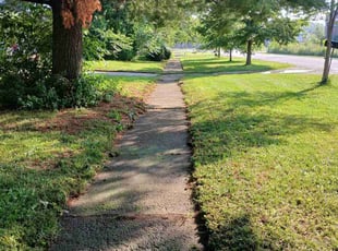 Aaron Y.'s grass maintenance service result