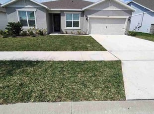 Nayoun L.'s turf care service result