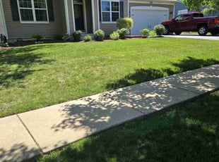 Db W.'s landscaping services service result