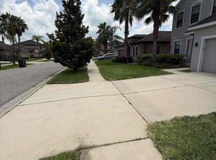 James A.'s lawn maintenance service result