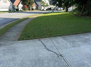 Sue S.'s grass cutting service result