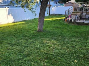 Maria P.'s grass maintenance service result