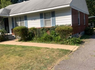 Joseph D.'s Bush Trimming service result