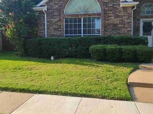 Kelli G.'s Bush Trimming service result