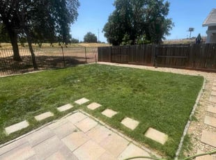 Chalette L.'s turf care service result