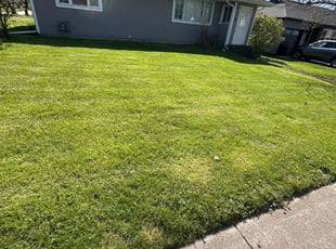 Nancy C.'s lawn maintenance service result