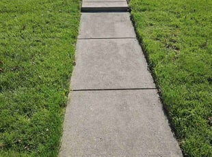 Henry H.'s turf care service result