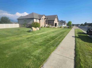 Boris F.'s lawn care service result