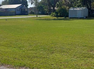 Constance M.'s lawn service service result