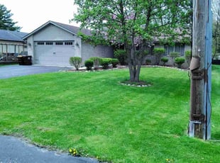 Omer K.'s lawn care service result