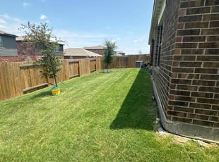 Ray A.'s lawn care service result