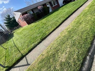 Dee L.'s grass maintenance service result