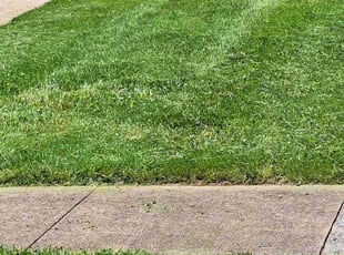 Gwen H.'s lawn service service result